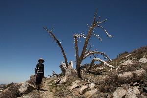 Sculptured art at 10,000'