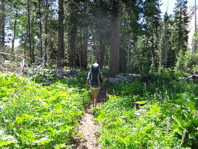 Hiking to Glen Aulin.