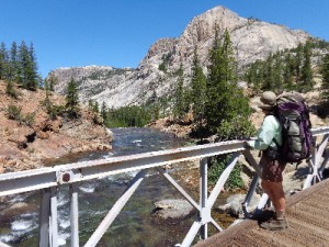 Bridge at Glen Aulin.