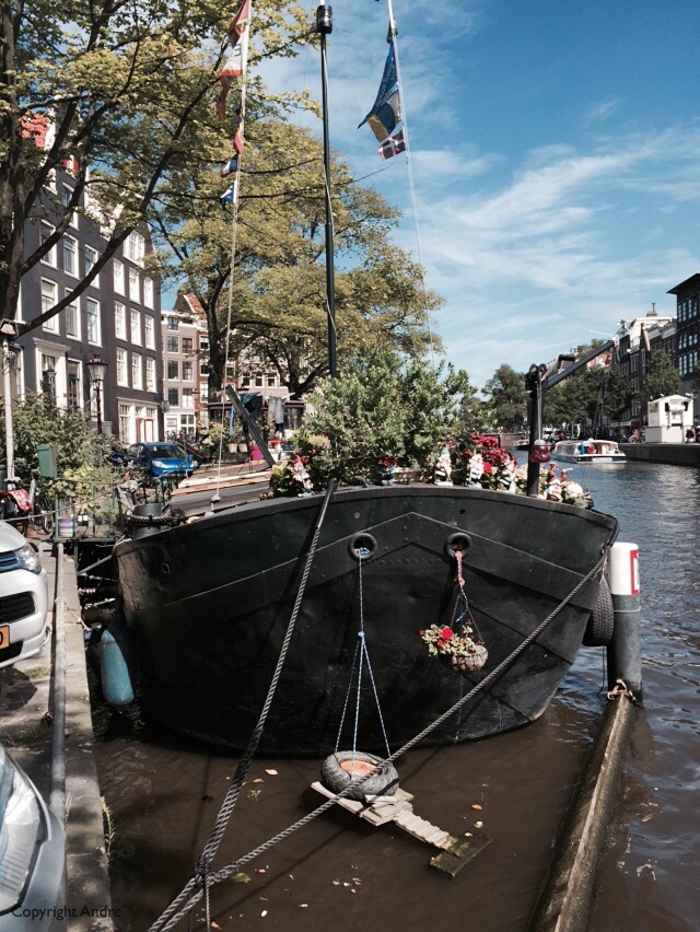 Houseboat with a little gangplank & nest for the ducks.