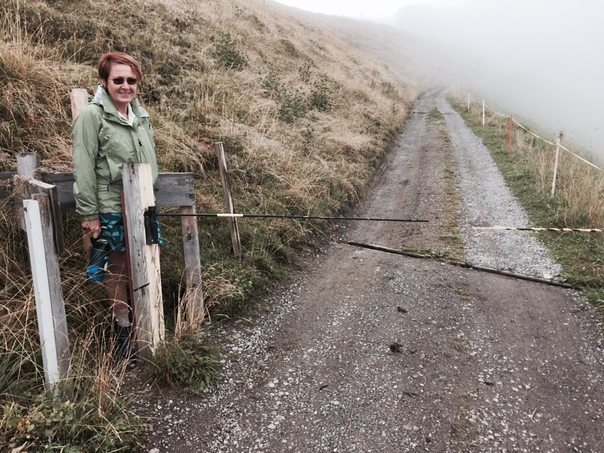 Plenty of cattle gates, often with low voltage electrification. Here we squeeze around the gate post.