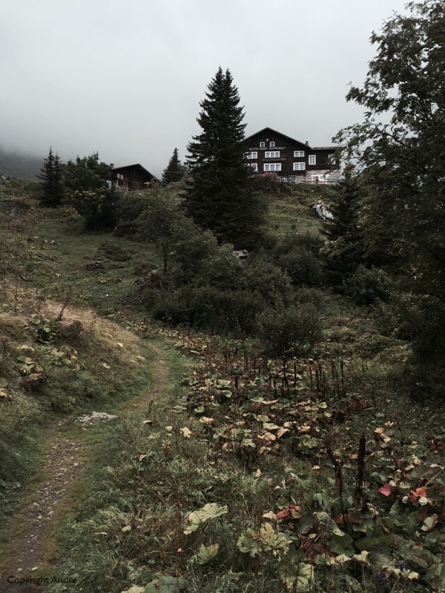 First view of Suppenalp.
