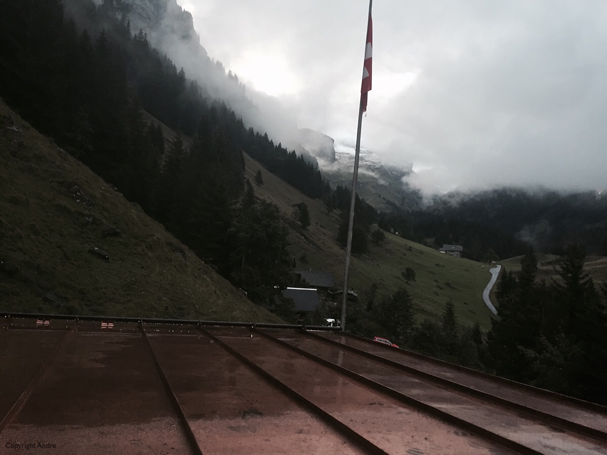 Morning View from our Window.