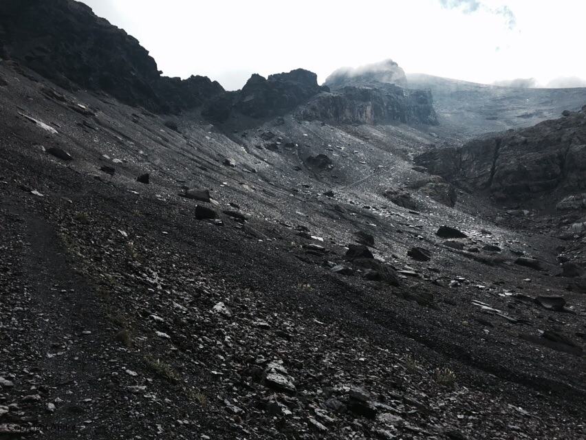 Looking back up at the pass. Minimal vegetation but firm & steep scree.