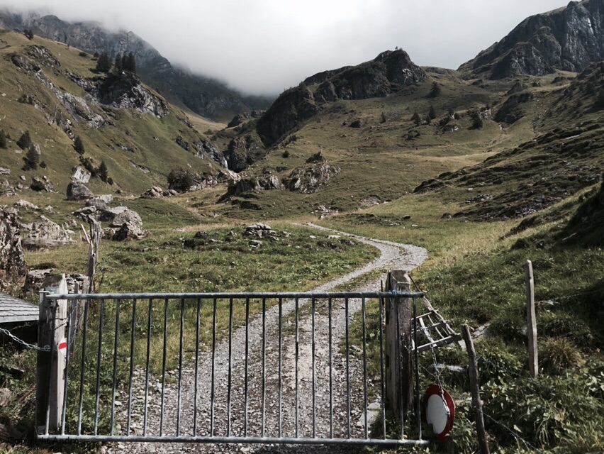 Looking back up the lower, greener, section of Sefinenfrukke