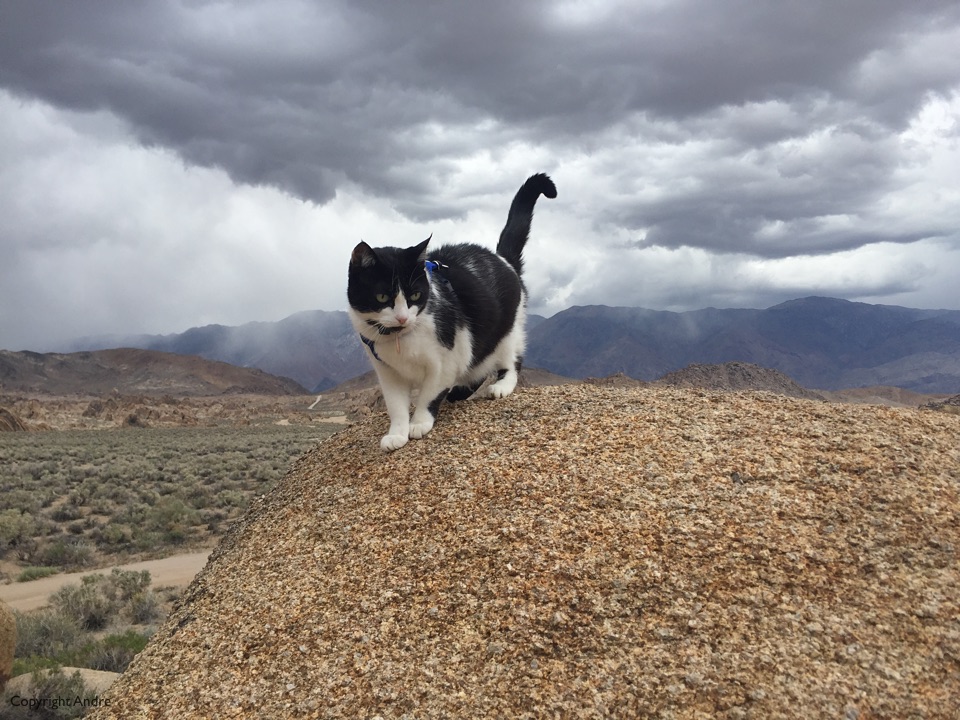 Kimo checking out the rocks.