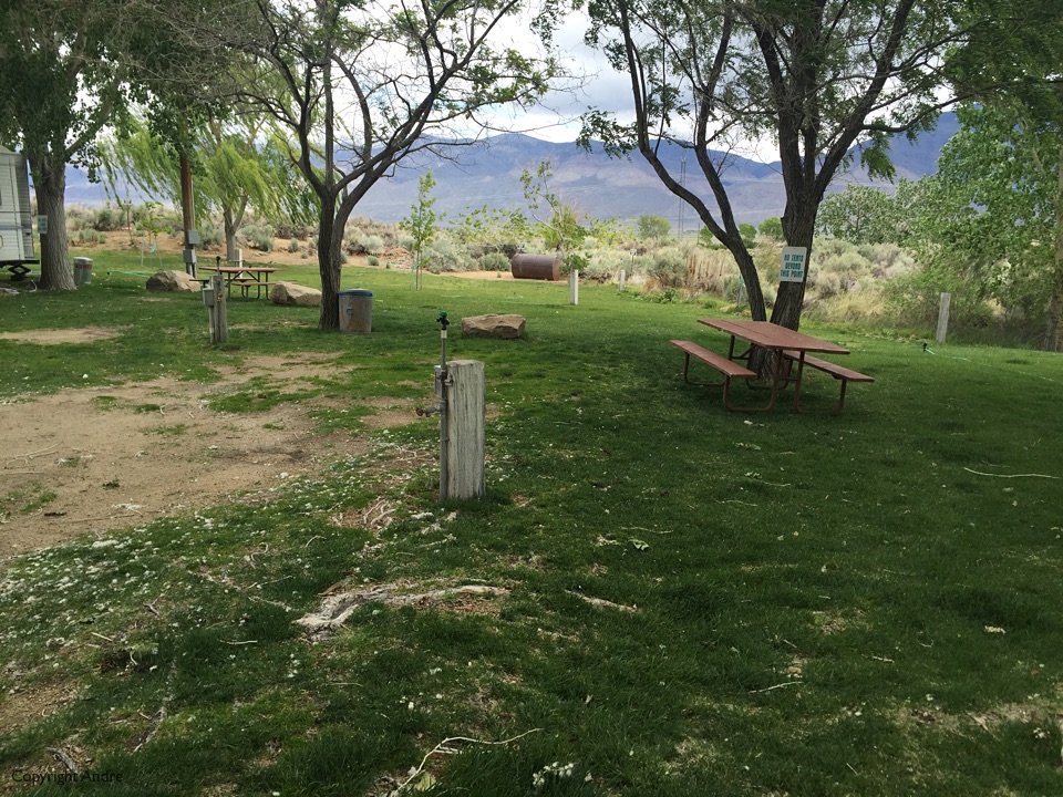 Nice grass for some of the hookup sites.