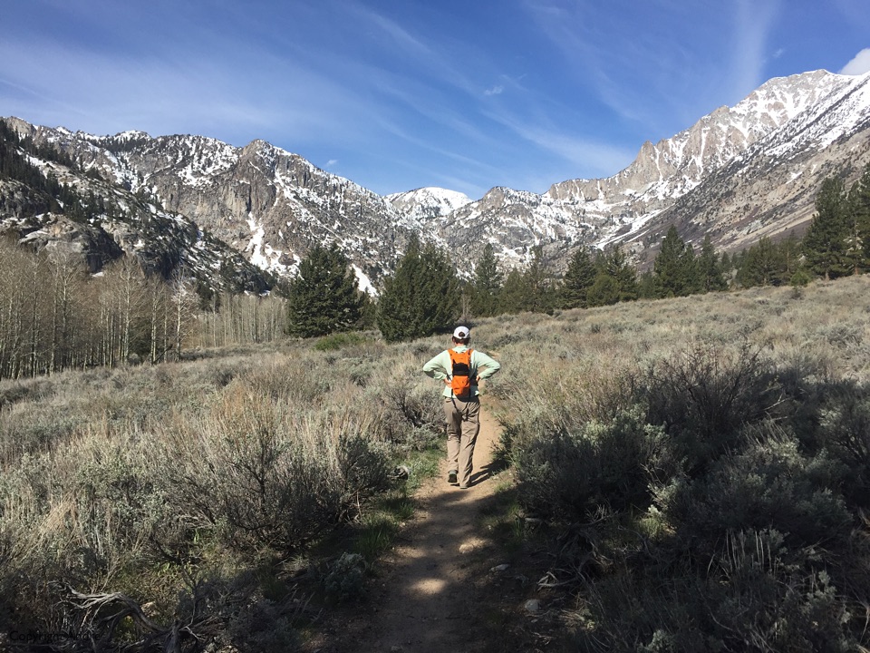 On the trail to Barney Lake.