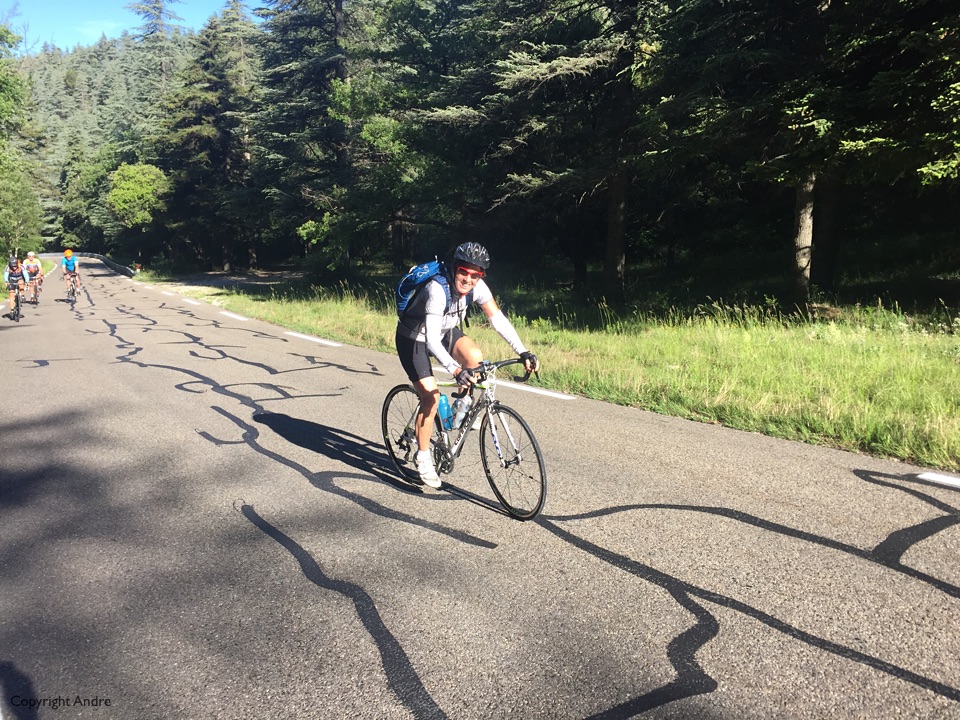 Middle third is through the forest.