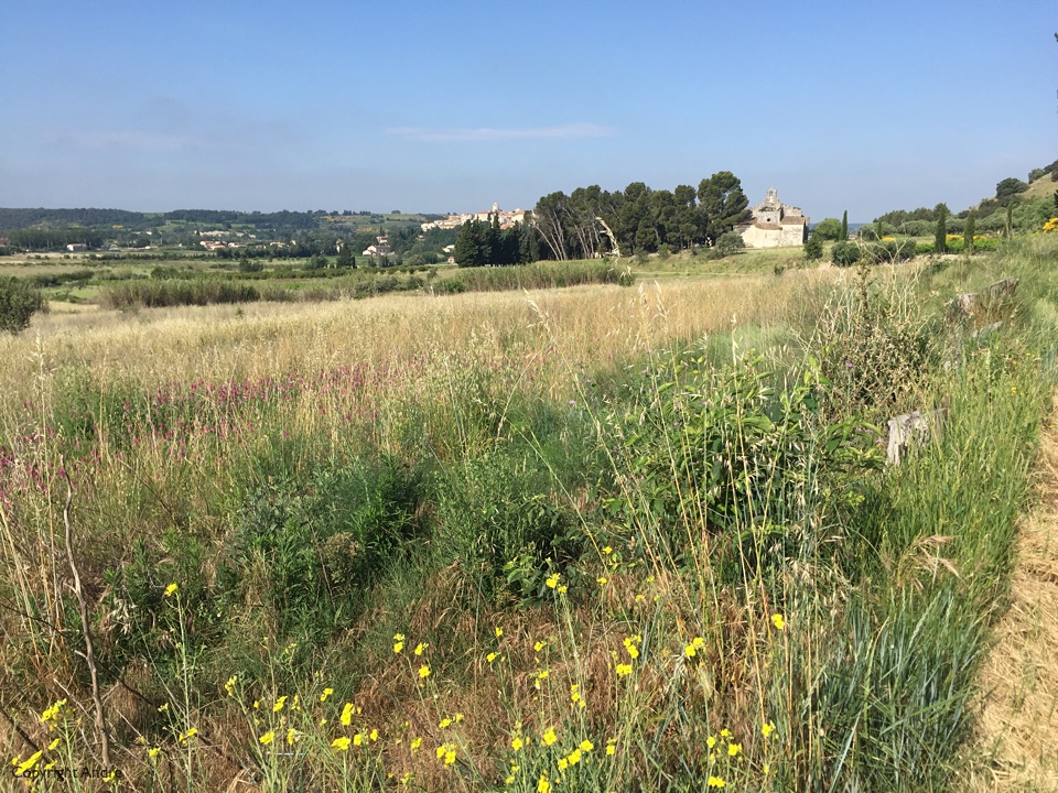 Provence countryside.