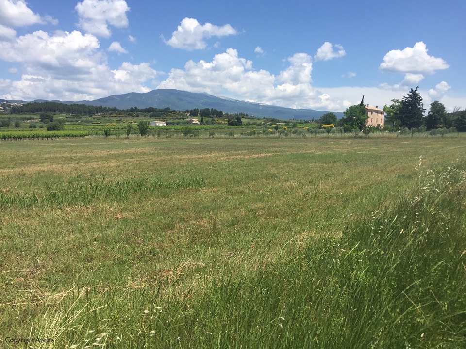 First view of Mont Ventoux riding into Bedoin.